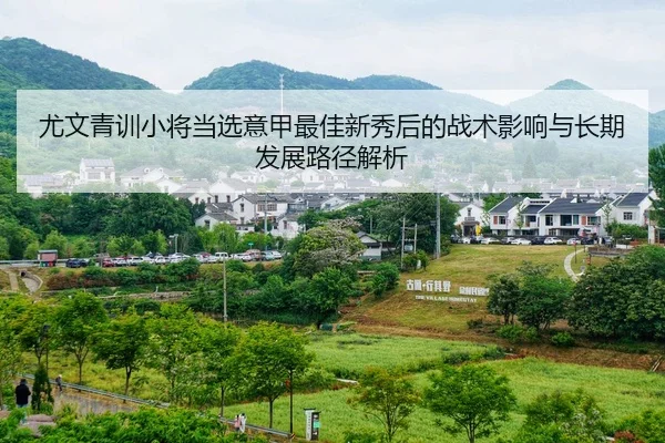 尤文青训小将当选意甲最佳新秀后的战术影响与长期发展路径解析